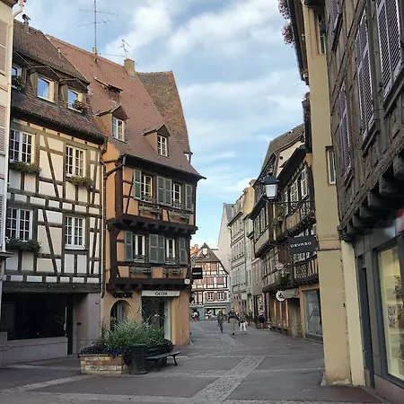 Les Du Cygne Apartment Colmar