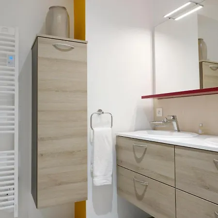 Appartement Les Du Cygne Colmar
