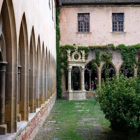 Les Du Cygne * Colmar