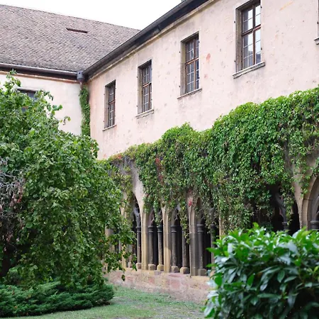 Les Du Cygne Apartment Colmar