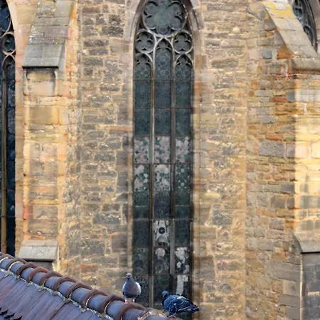 Daire Les Du Cygne Colmar