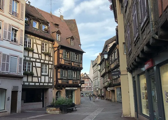 Les Du Cygne Apartment Colmar