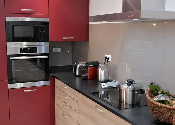 Apartment Les Du Cygne Colmar