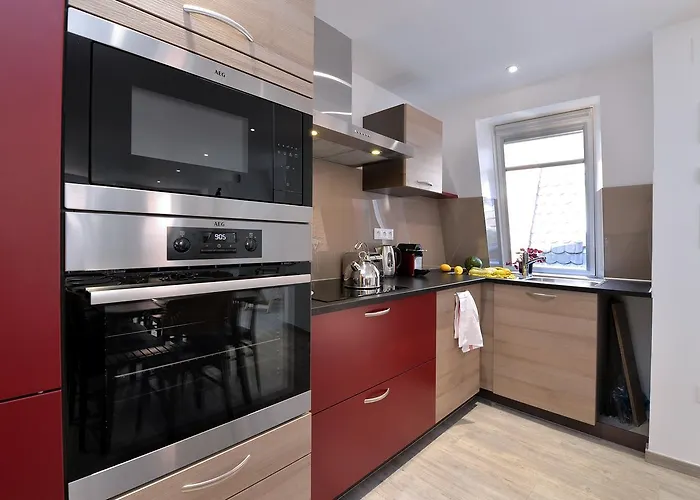 Les Du Cygne Apartment Colmar