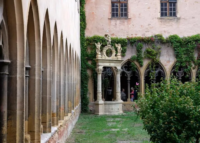 Les Du Cygne * Colmar