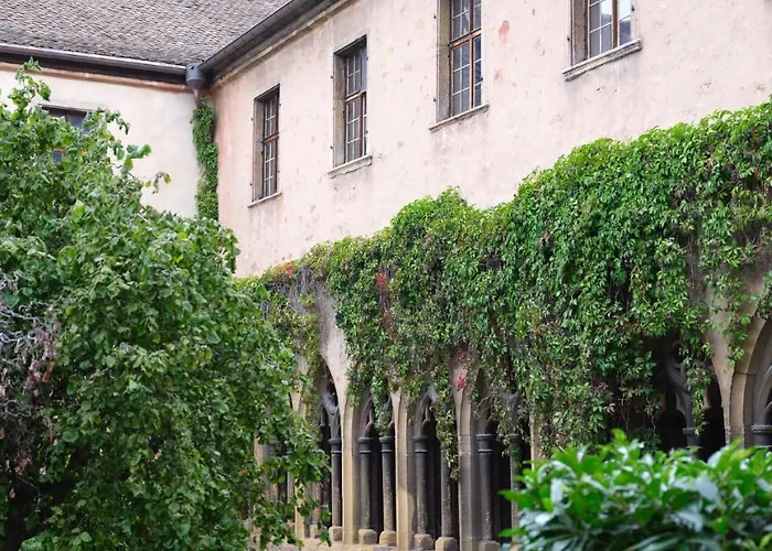 Les Du Cygne Apartment Colmar